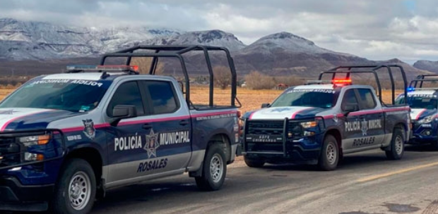 Encuentran cuerpo en descomposición en Rosales; perros se comían el cadáver