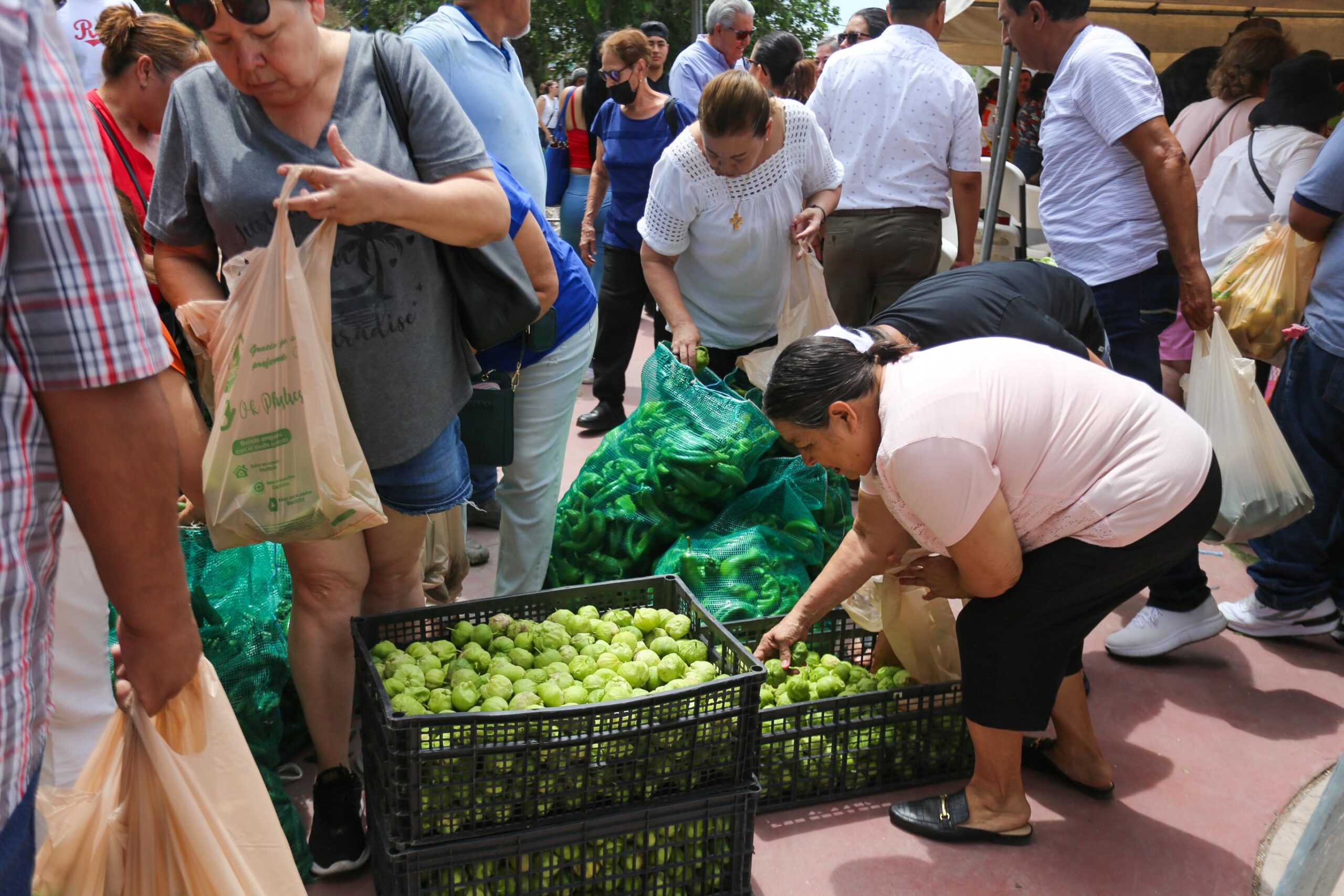 Invita IDEA Delicias al Mercado de Productores este sábado 19 de julio