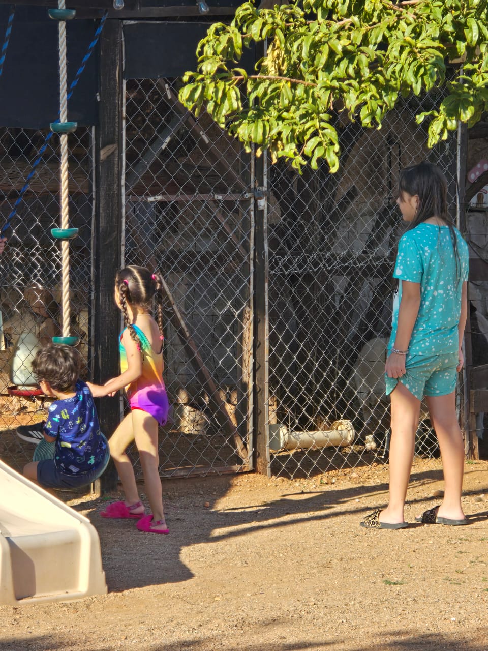 Especialista de la UACH te dice cómo prevenir enfermedades durate tu visita a lugares recreativos