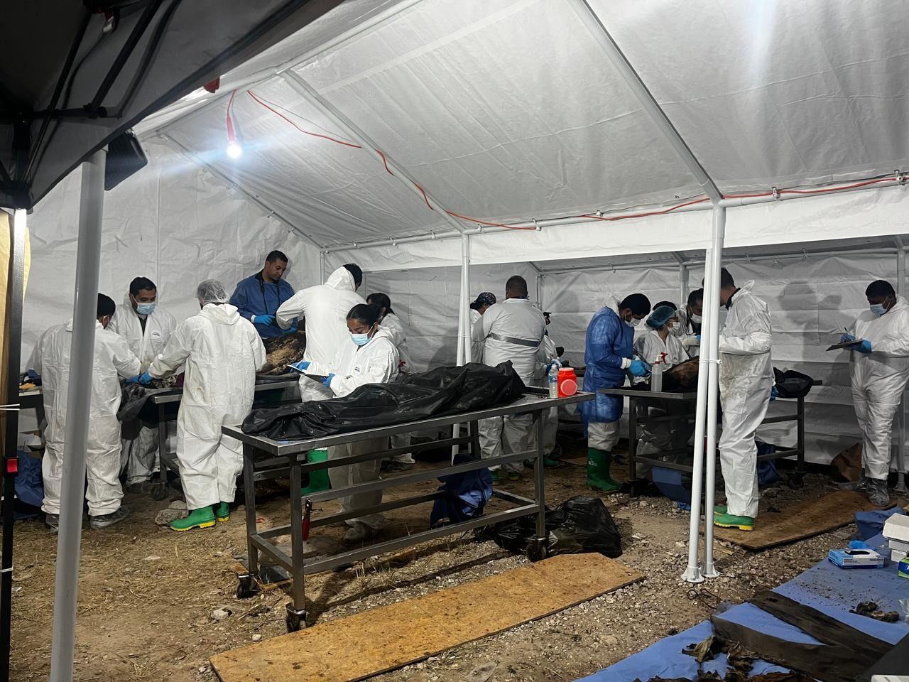 Aumenta a 27 el número de personas identificadas por el caso ‘Plenitud’