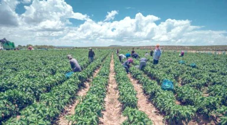 Con pie izquierdo, inició Chihuahua el año; 4ª peor caída económica