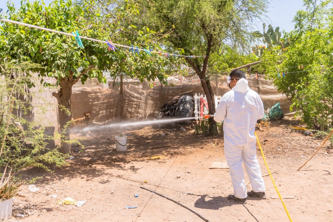 Intensifican en Meoqui acciones para prevenir el Dengue