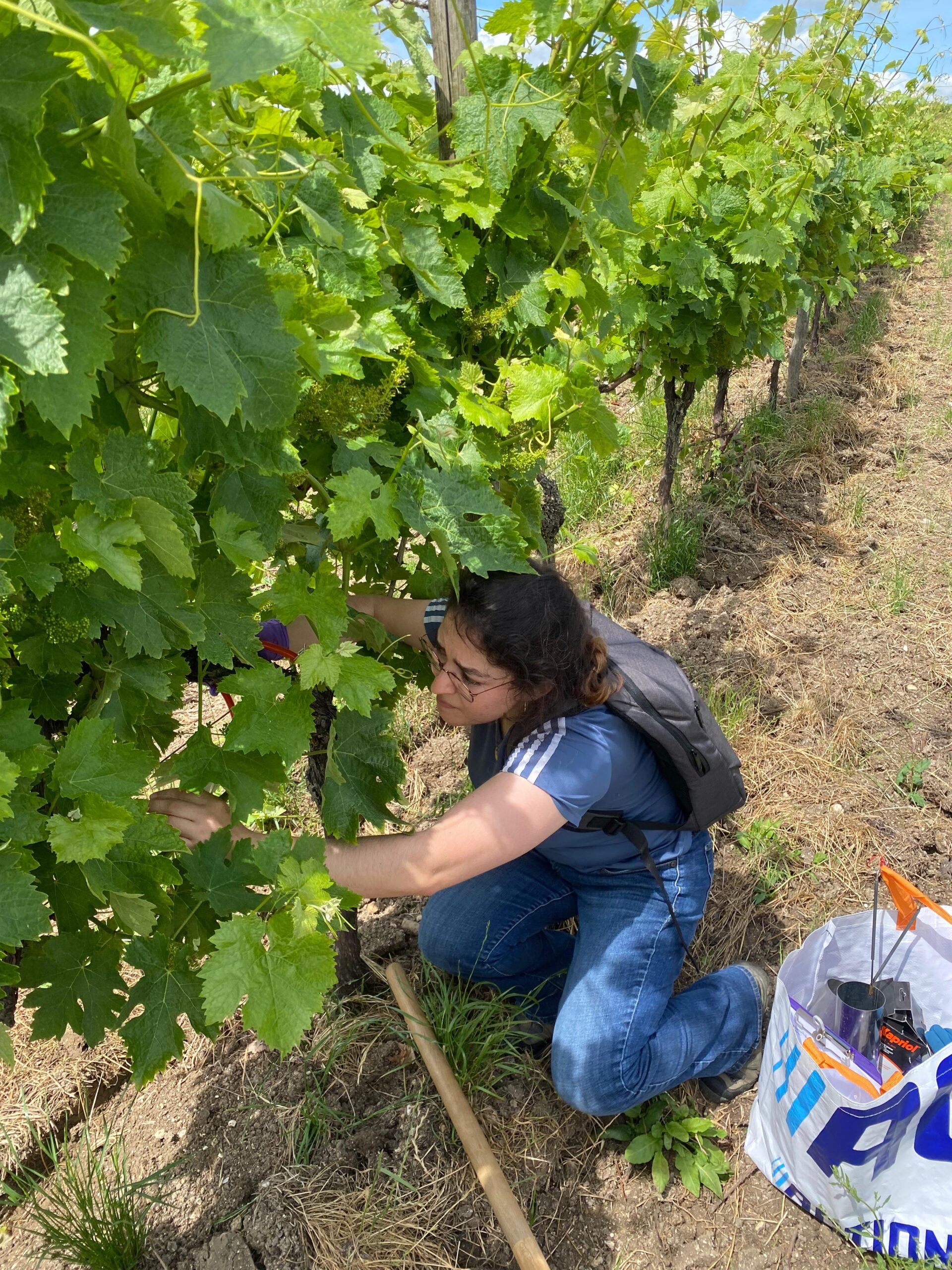 Egresada de la UACH triunfa en Francia y regresa a su alma mater para motivar a nuevas generaciones