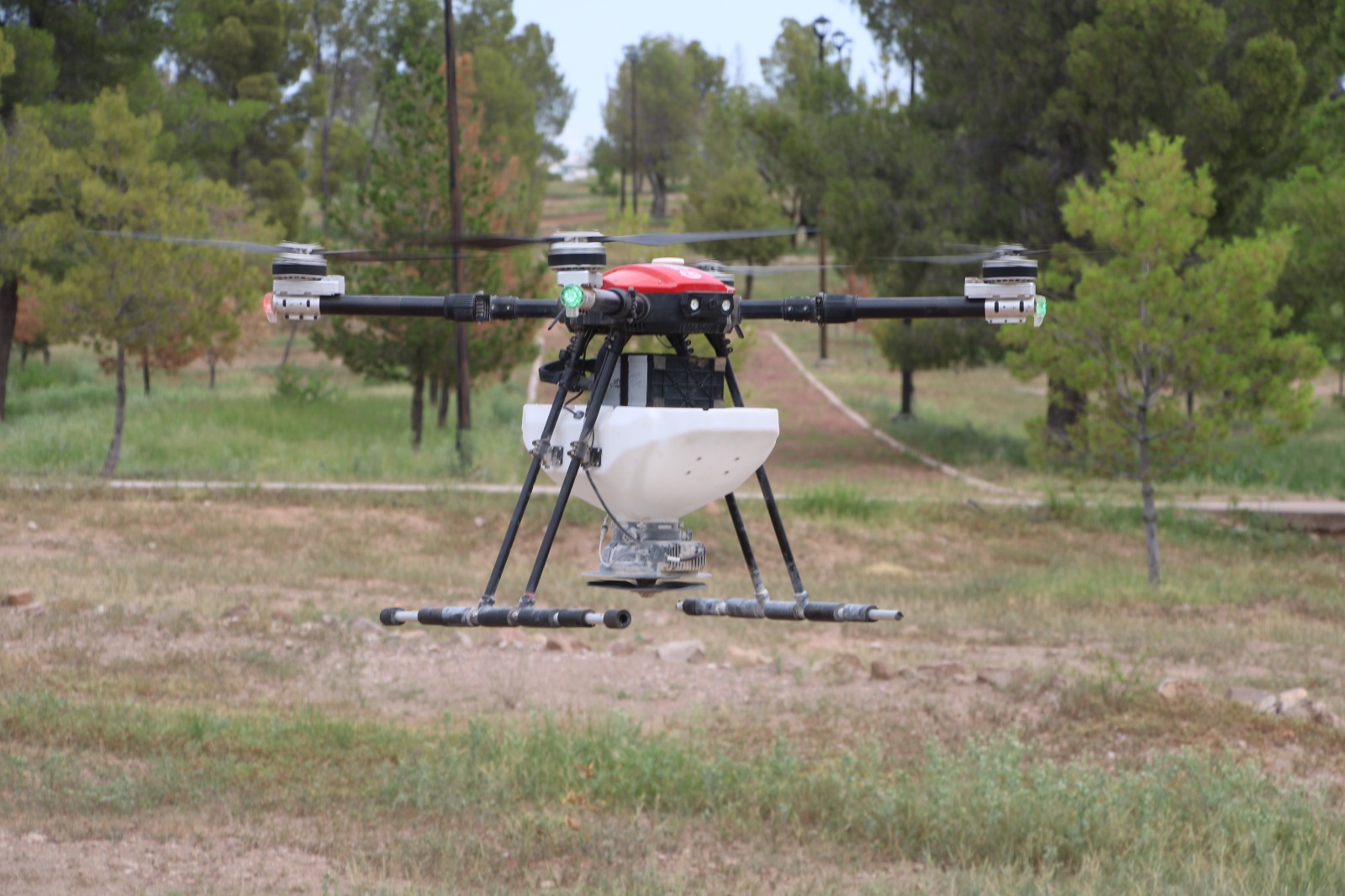 Impulsan reforestación en la Sierra Tarahumara con apoyo de la SDR