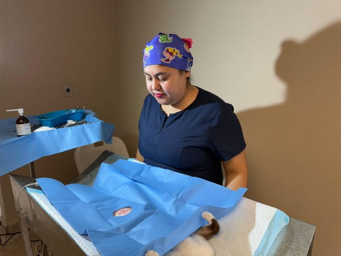 Atienden a más de 30 mascotas en jornada de esterilización a bajo costo en Delicias