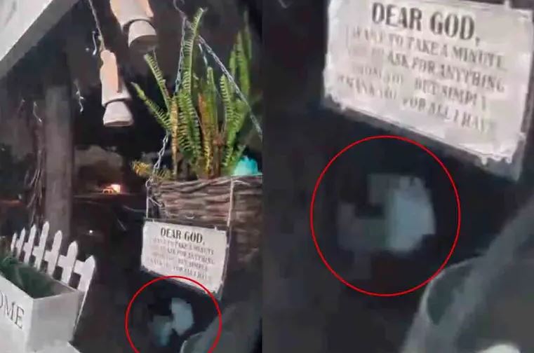 ‘Mamá, es un extraterrestre’ Mujer capta supuesta figura alienígena en su jardín