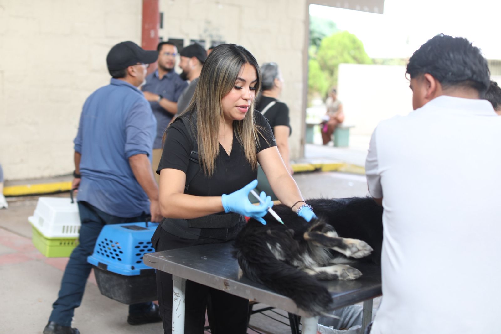 Acude alcalde a campaña de esterilización realizada en la Estatal 2