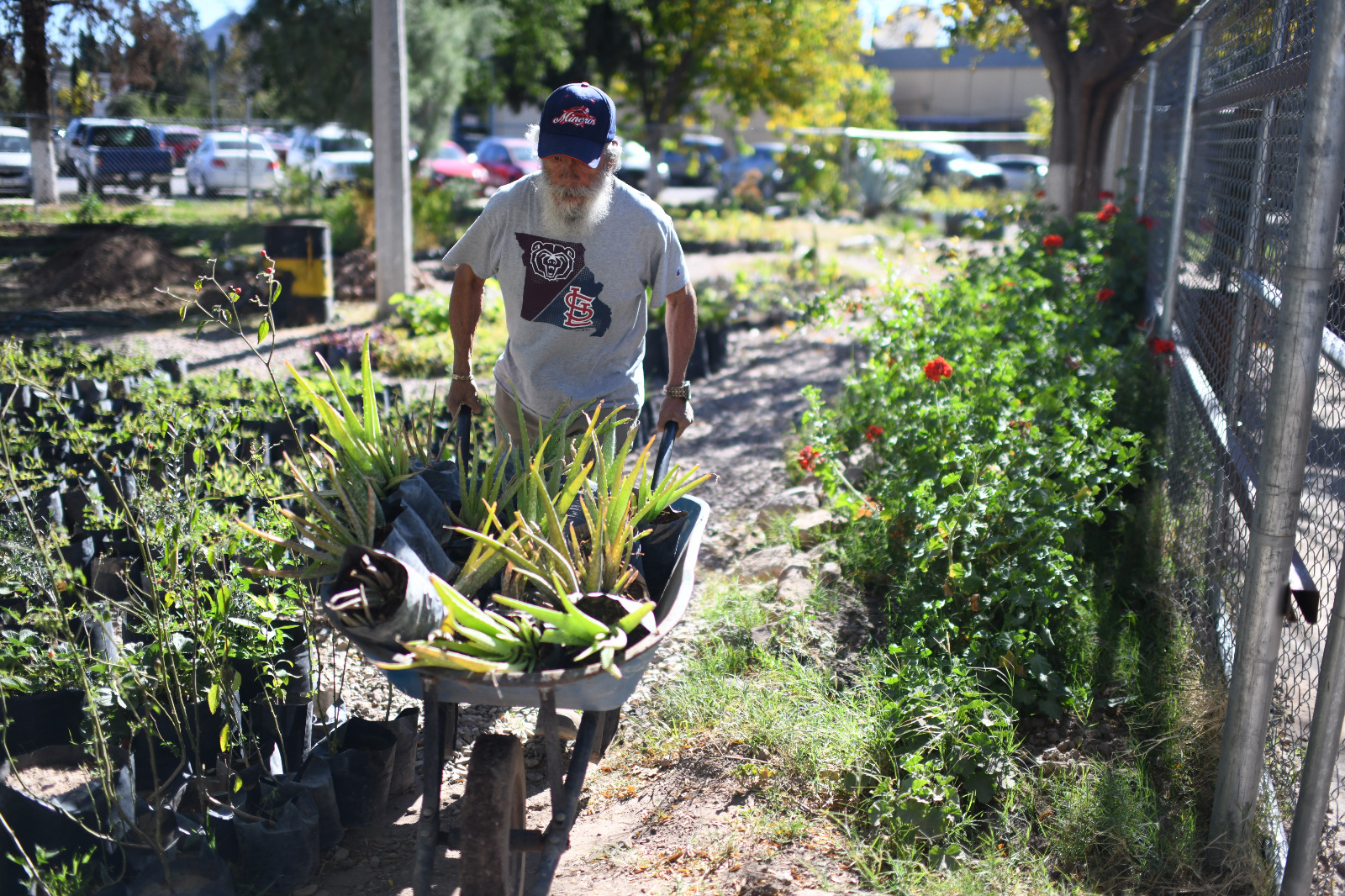 Entre aromas y colores, FACIATEC-UACH ofrece venta de plantas y servicio de jardinería en su vivero.