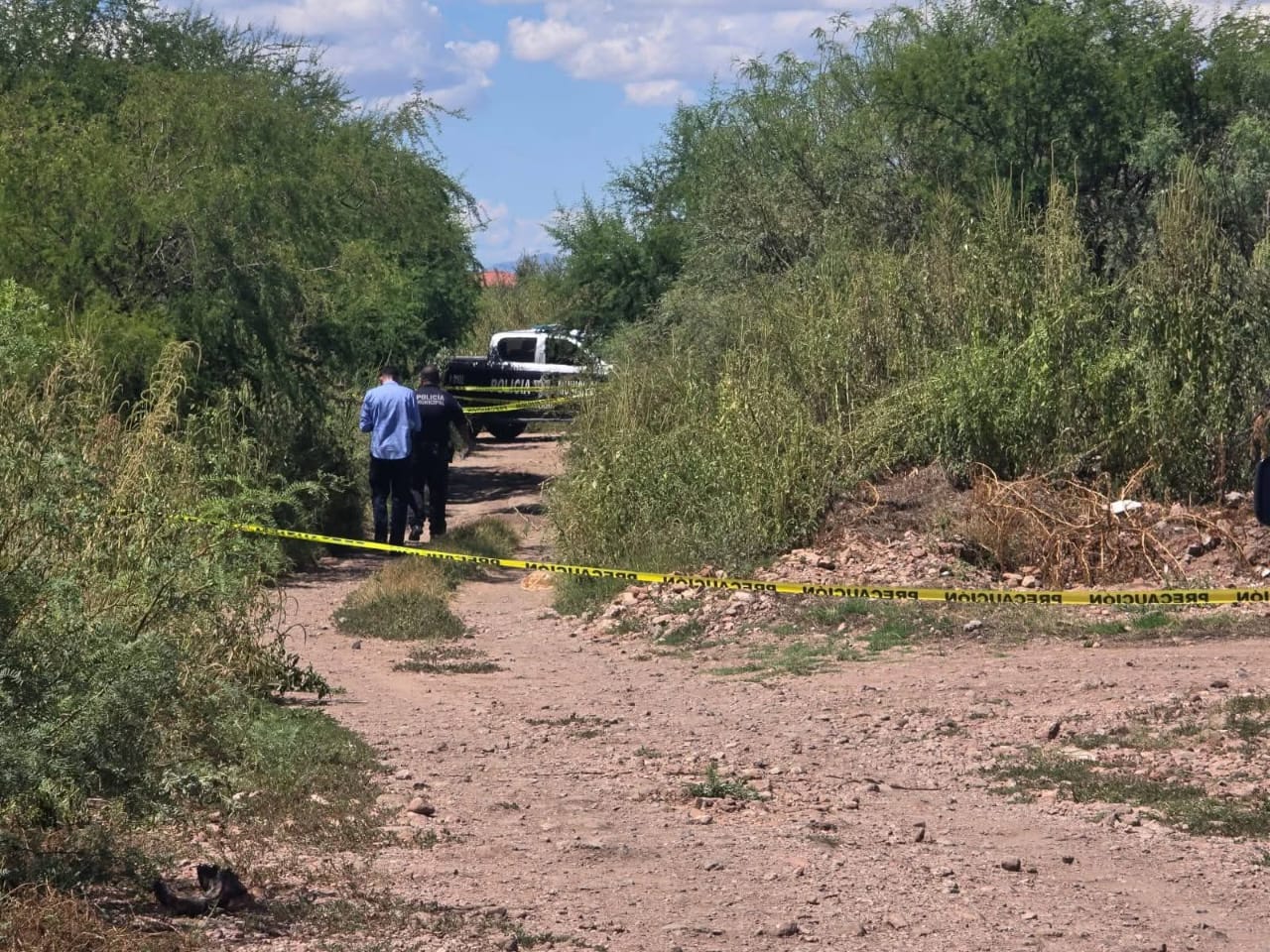 De último minuto: movilización por hallazgo de cráneo en Meoqui