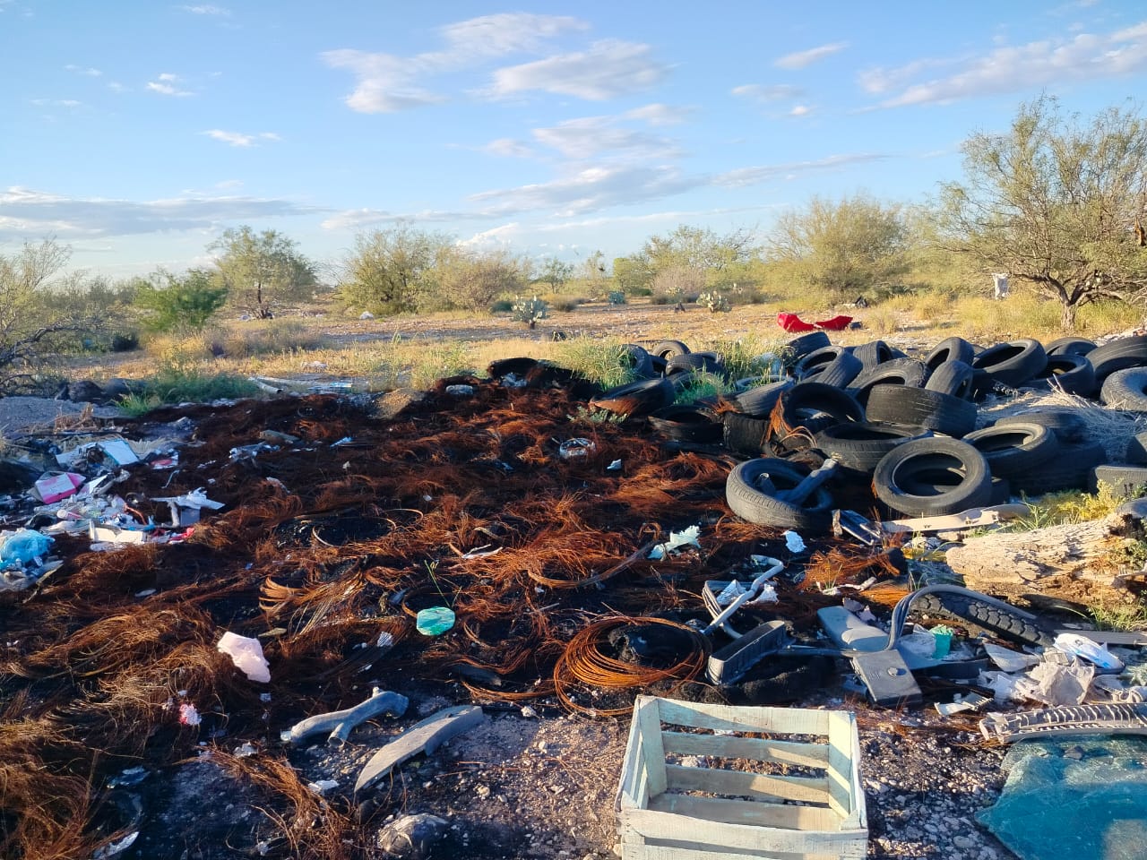 Movilización de Bomberos por incendio en basurero clandestino