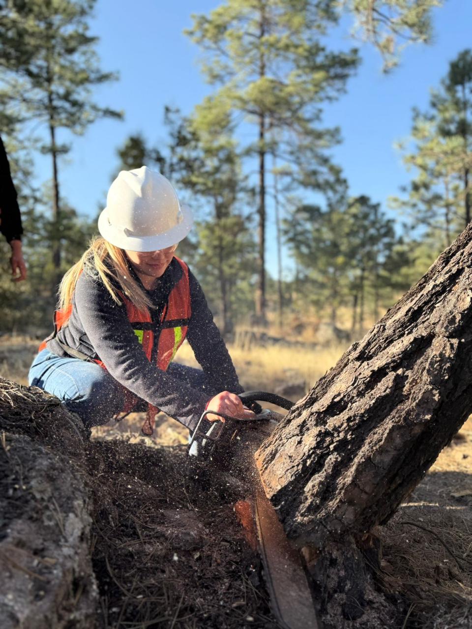 UACH será sede del XVII Congreso Mexicano de Recursos Forestales