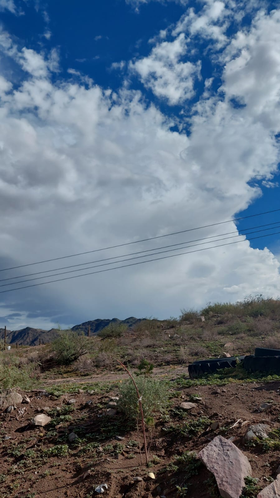 Mantiene Protección Civil alerta ante pronóstico de lluvias fuertes para este domingo