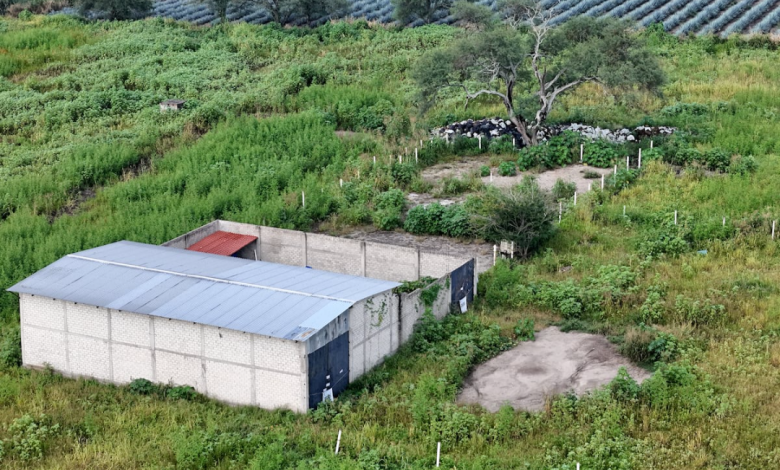 Reclutados por el cartel en el rancho La Vega: “Me ofrecieron trabajo por Facebook, pero luego me dijeron que sería sicario o me descuartizaban”