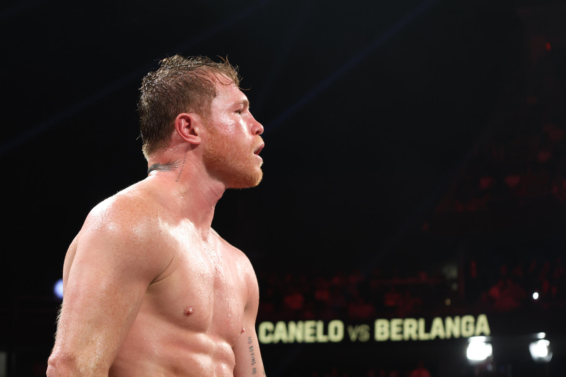 Canelo vs. Crawford: el poder contra la técnica