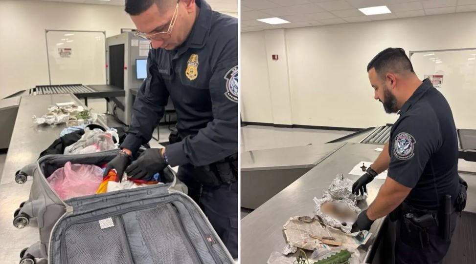 Encuentran restos humanos en equipaje de pasajero en aeropuerto de Florida