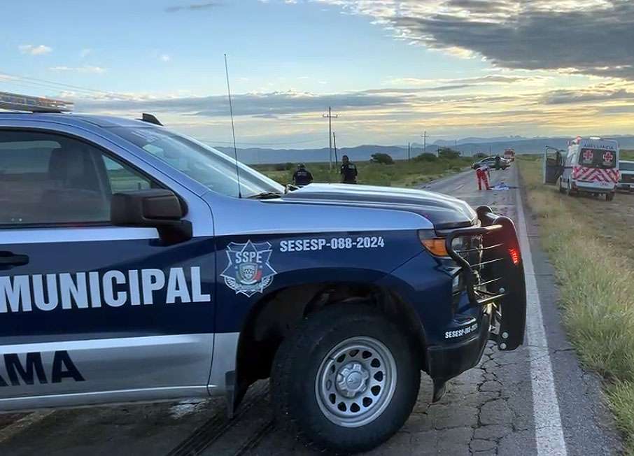 Muere atropellada en la carretera Aldama a Ojinaga