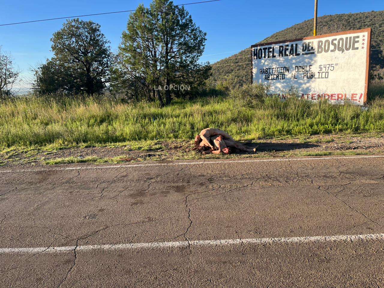 Abandonan seis cuerpos en carretera Temósachic–Madera