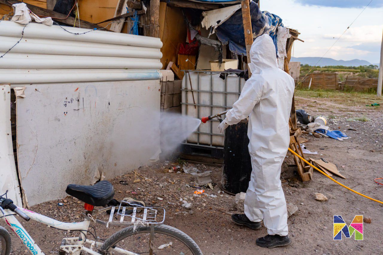 Avanza en Meoqui campaña contra proliferación de garrapatas, ahora en Colonia Tricentenario