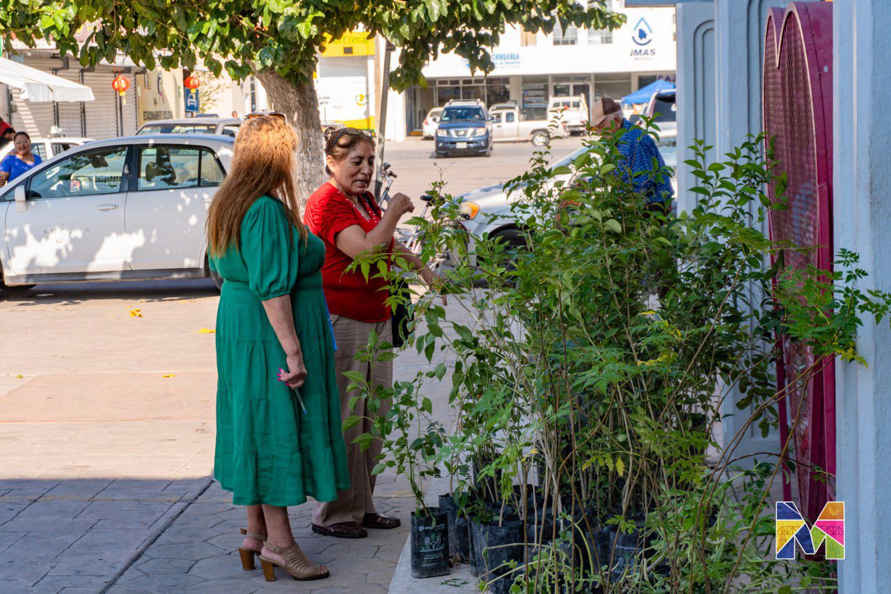 Refuerza Gobierno de Meoqui Campaña de Reforestación con más de 8 mil arboles
