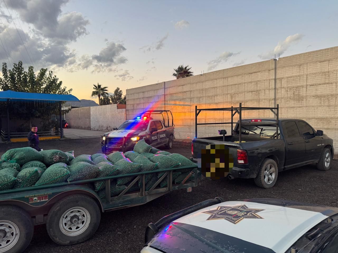 Aseguraron dos vehículos cargados de nuez sin documentación