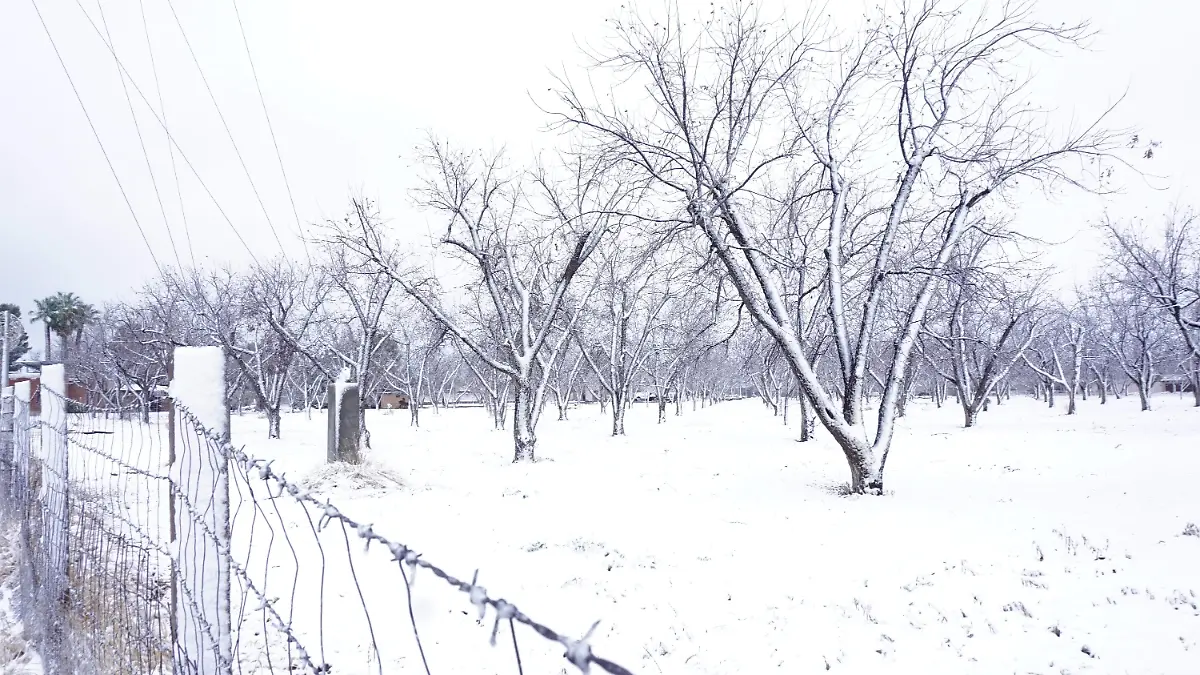 Pronostican seis tormentas invernales para esta temporada; la primera podría llegar entre noviembre y diciembre