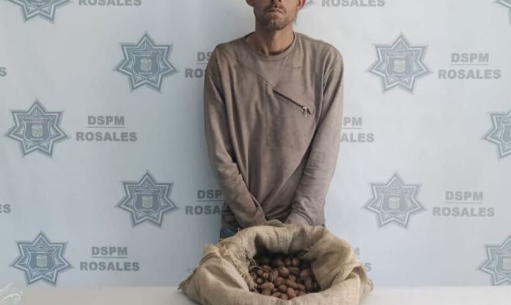 Detienen a sujeto en Rosales con nuez robada