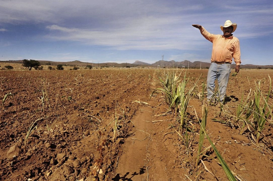 Campesinos denuncian “crisis agrícola sin precedentes”