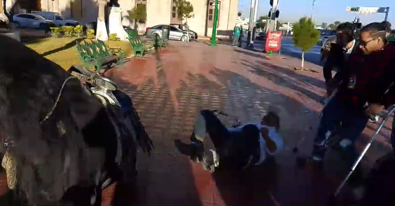 Azota Lozoya con todo y caballo frente a palacio de gobierno