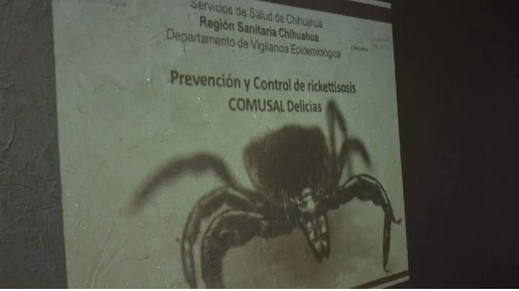 Pese a bajas temperaturas, enfermedades asociadas con las garrapatas siguen activas: veterinario Roberto Meléndez