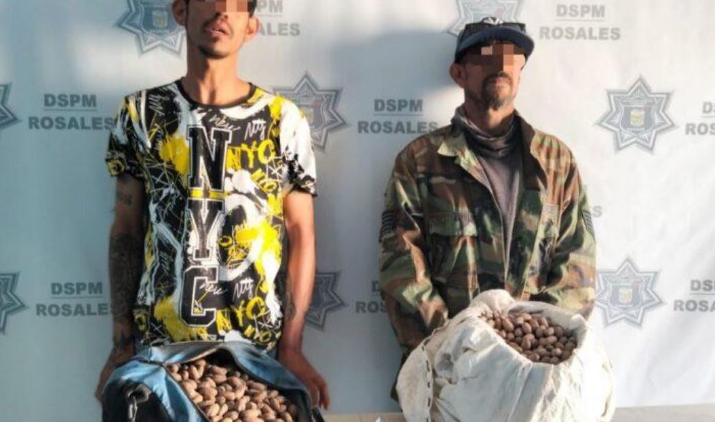 Detienen a dos y aseguran nuez robada durante operativo de alta cosecha en Rosales