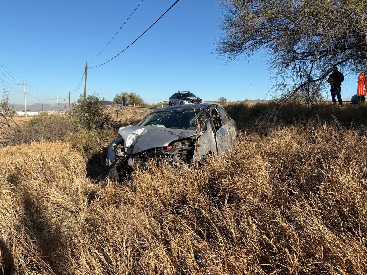 Choca contra árbol en la puerta a Chihuahua,