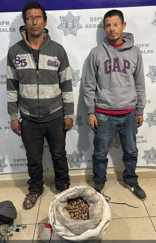 Arrestan a dos sujetos con 18 kilos de nuez en Rosales