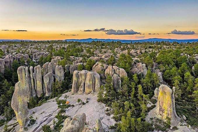 Desciende la temperaturas en Temósachic a -6 grados centígrados