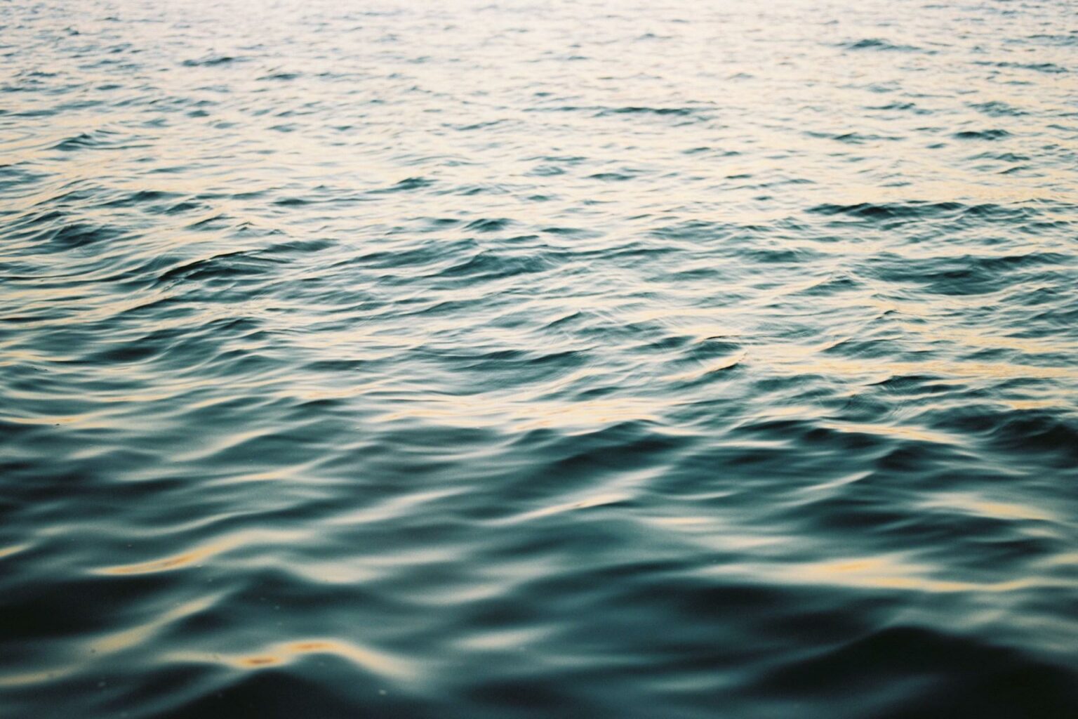 México ajusta entregas de agua del Río Bravo a EE.UU. conforme a disponibilidad hídrica