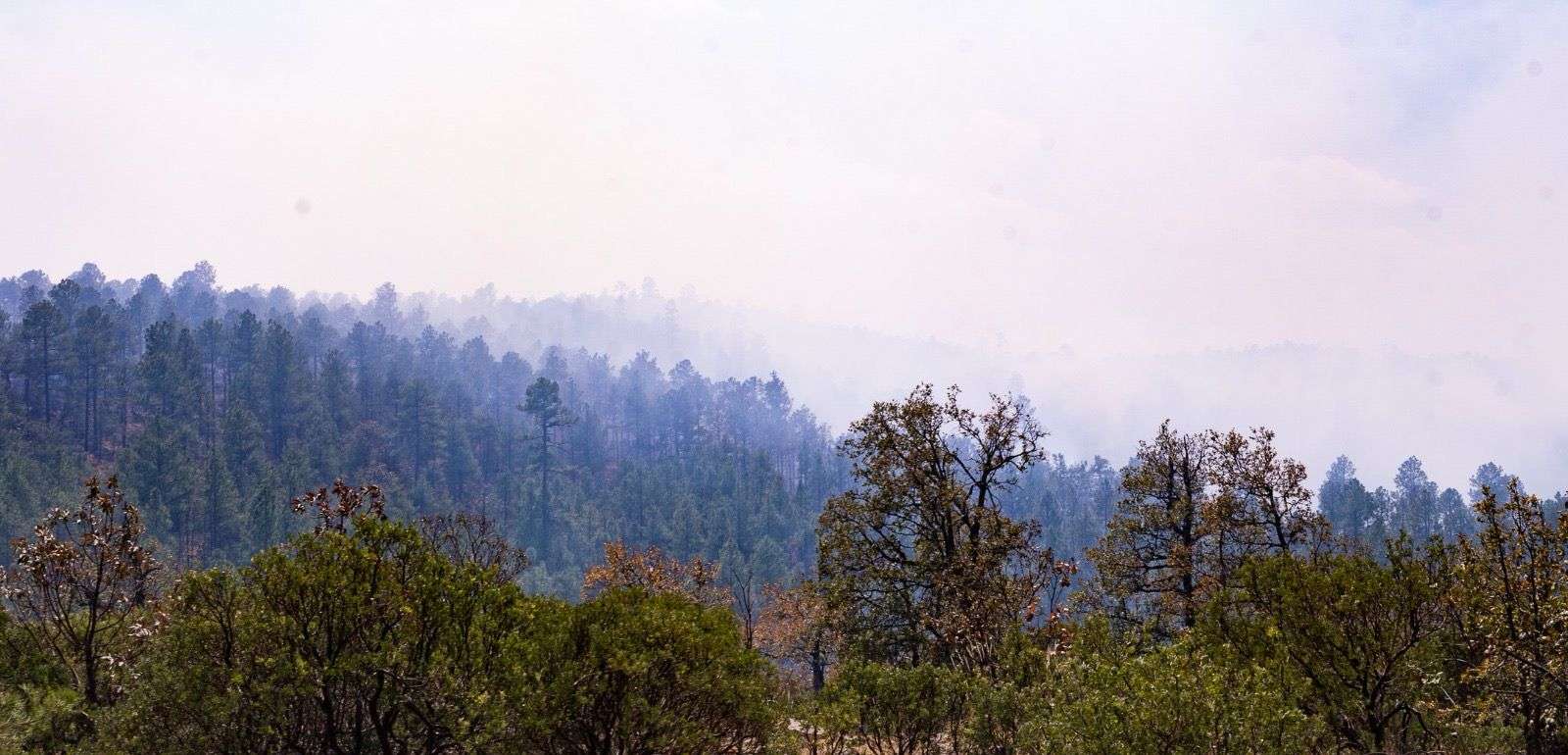 Baja la temperatura en El Vergel a -1.8 grados centígrados