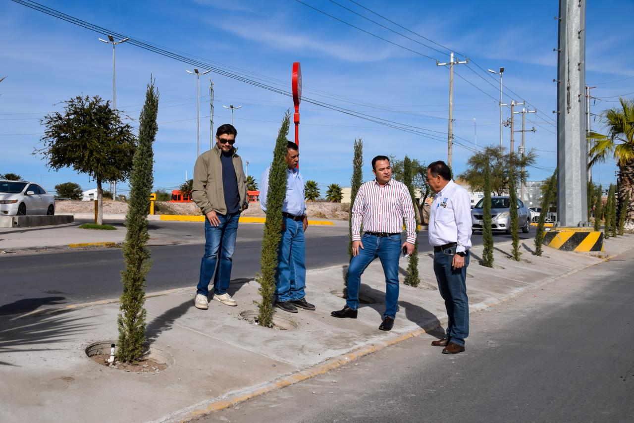 Embellece Delicias su camellón en la Plutarco Elías Calles con obra integral