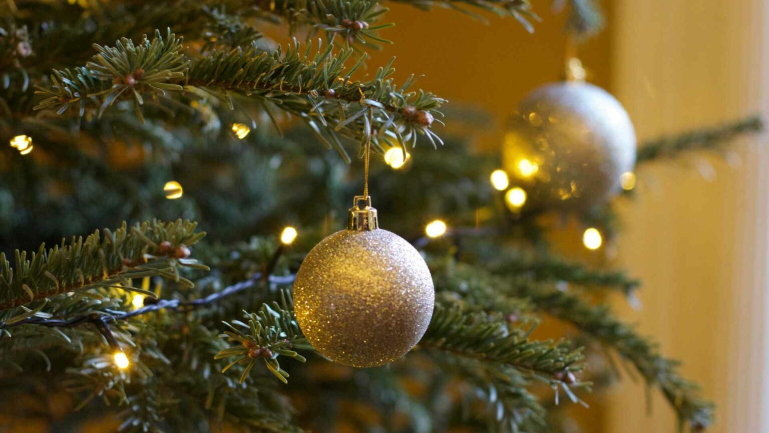 Embajada de EE.UU. emite consejos de seguridad en fin de año para sus ciudadanos en México