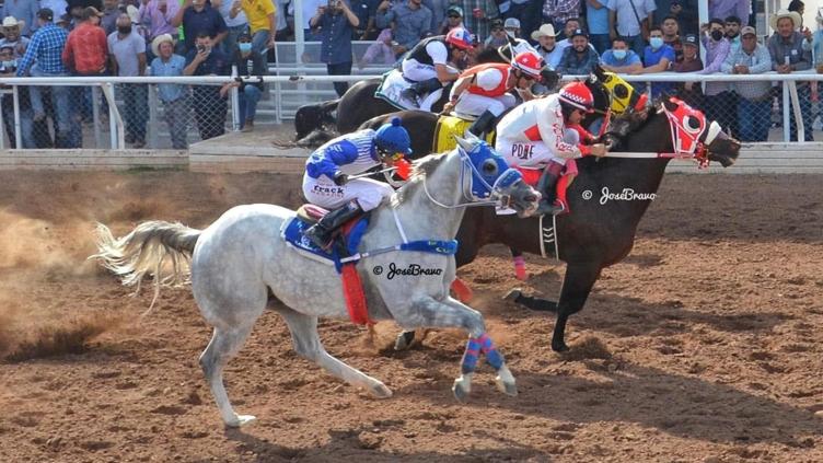 Cancelan permisos para carreras de caballos, peleas de gallos, jaripeos y lazadas por razones de seguridad