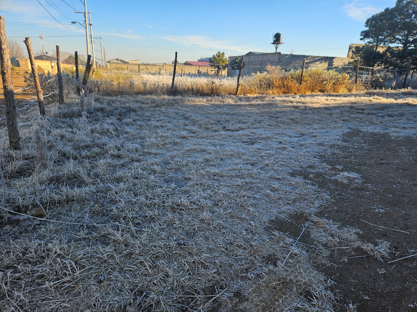 Registra CEPC heladas en gran parte del estado