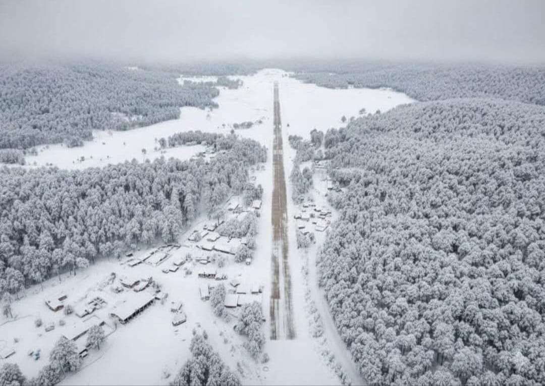 Tormenta Invernal: Amanecen tres carreteras cerradas y 13 municipios con nieve