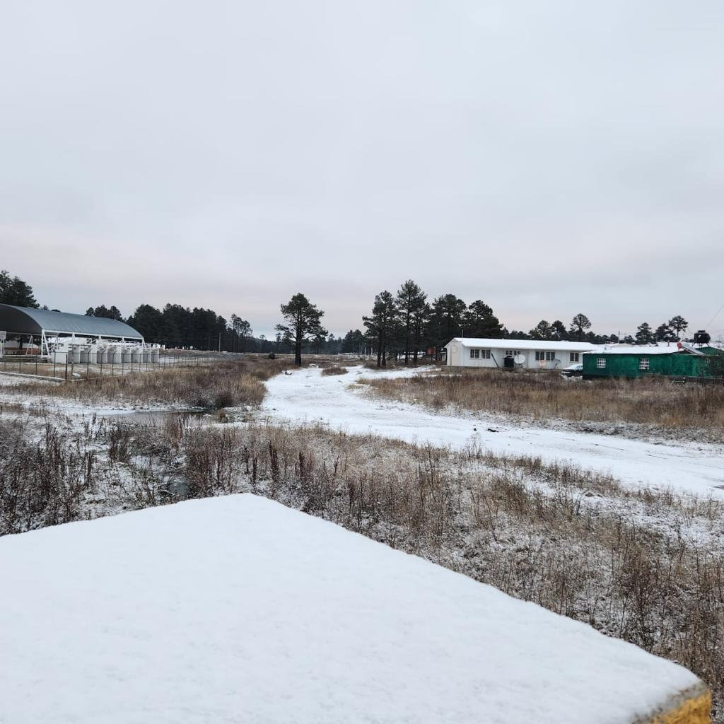 Se congela El Vergel con temperatura de -10 grados centígrados