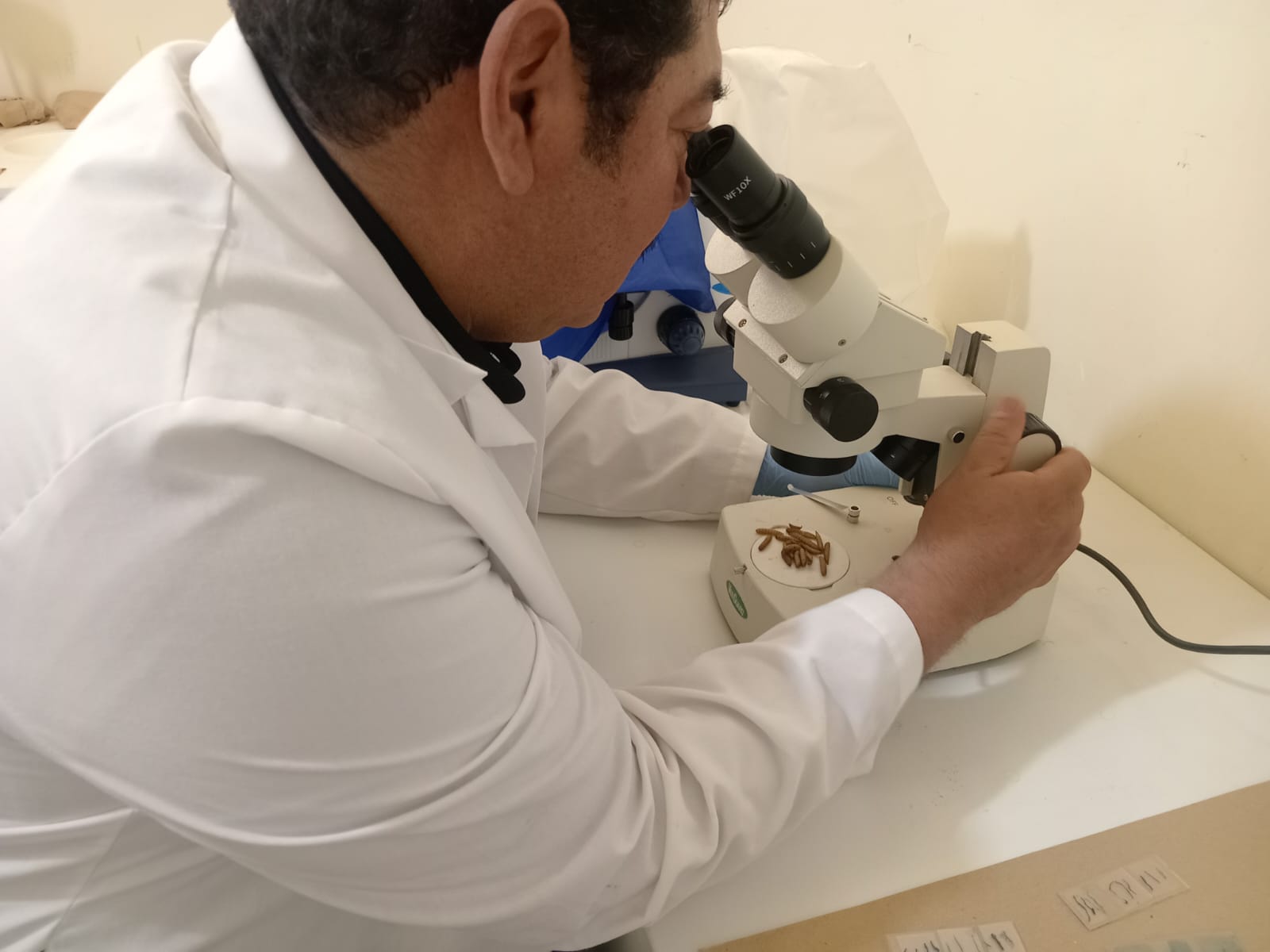 Docentes de la Facultad de Agronomía Delicias desarrollan una alternativa sostenible para la revalorización de residuos orgánicos