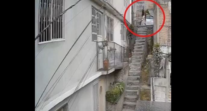 Hombre arroja a perro por escaleras y causa indignación