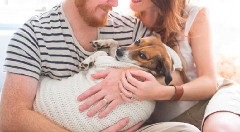 Perrhijos: Y ahora… ofrecen seguros para mascotas