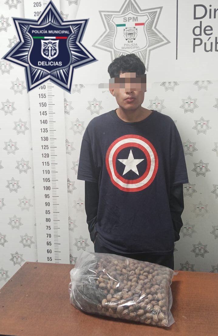 Atrapan a presunto ladrón de nuez en nogalera al sur de Delicias