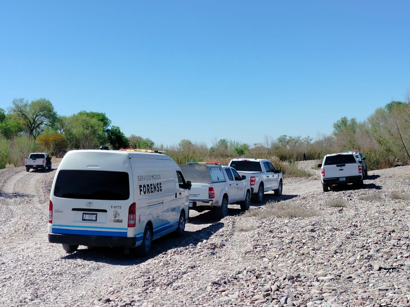 ???? ¡HALLAZGO EN EL RÍO SAN PEDRO! ???? Localizan cuerpo en Las Puentes; fuerte operativo en Meoqui.