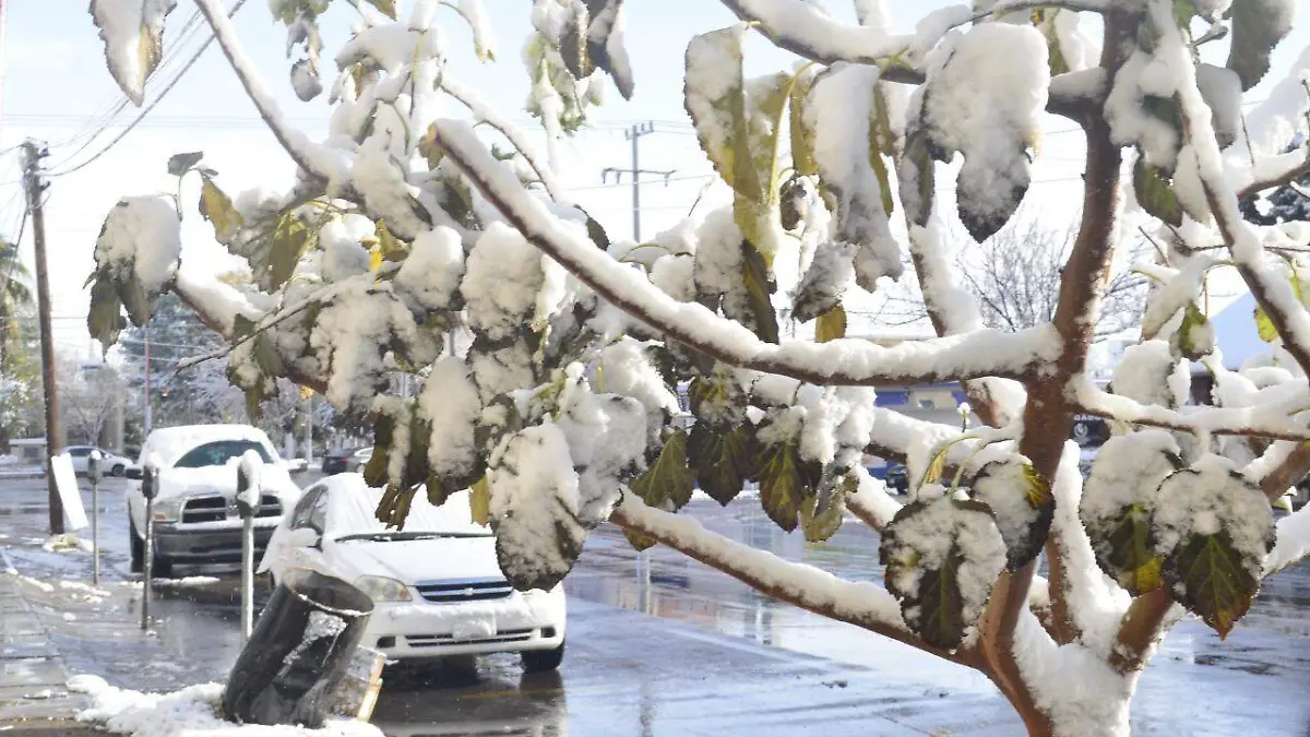 Delicias a 15 años de la histórica helada que paralizó la región