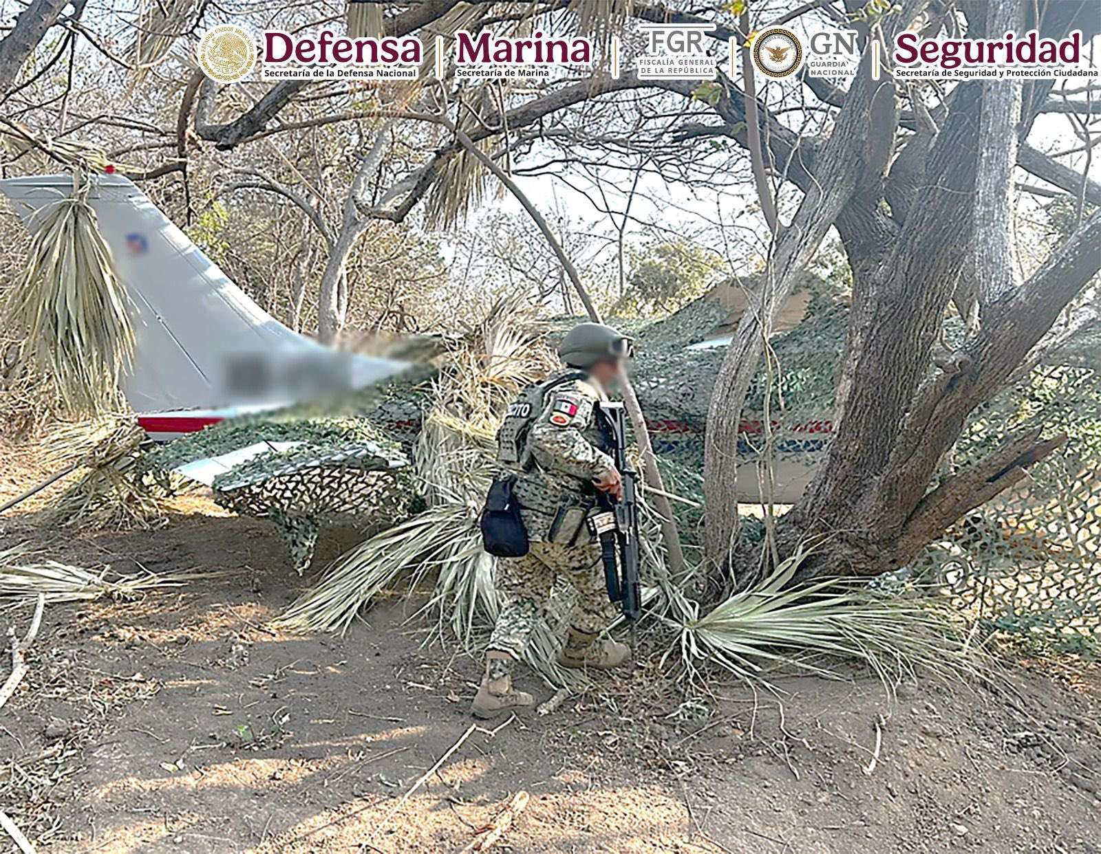 Interceptan avioneta con 534 paquetes de cocaína en Oaxaca