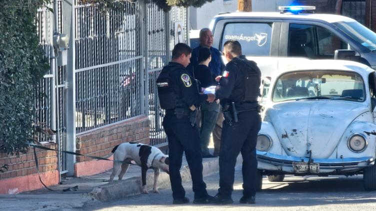 Asegura Policía a Pitbull que mató a abuelito; dueños se oponían