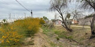 Limpian dren del sector sur de Delicias y llaman a evitar tirar basura